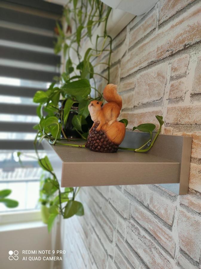 Baross Apartman Kaposvár Kültér fotó