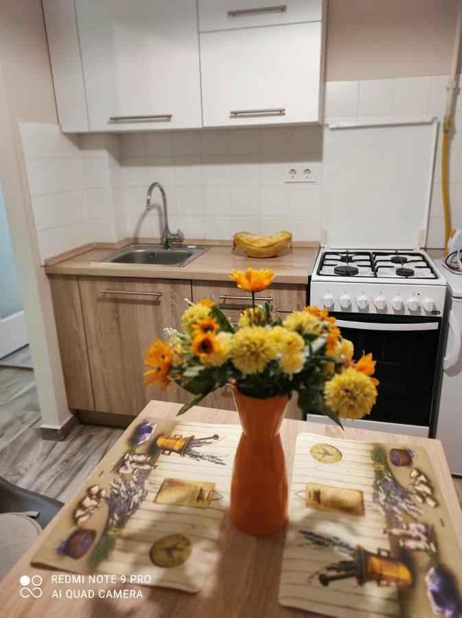 Baross Apartman Kaposvár Kültér fotó